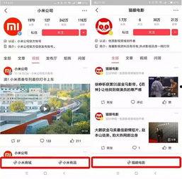 今日头条小鸭蛋,揭秘今日头条的神秘“蛋”生