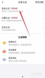 今日头条如何做到认证,揭秘如何轻松获得官方认证标识