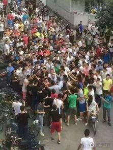 最新小偷爆料贵州,揭秘当地盗窃黑幕