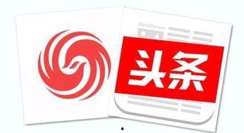 贵州兰花新闻今日头条,今日头条聚焦兰花发展盛况