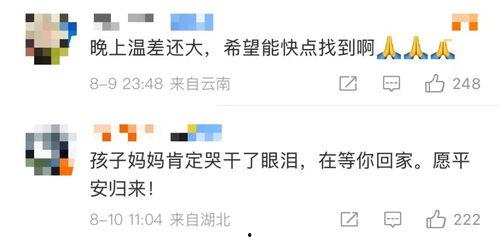 山东苍山今日头条,今日头条聚焦乡村振兴新篇章