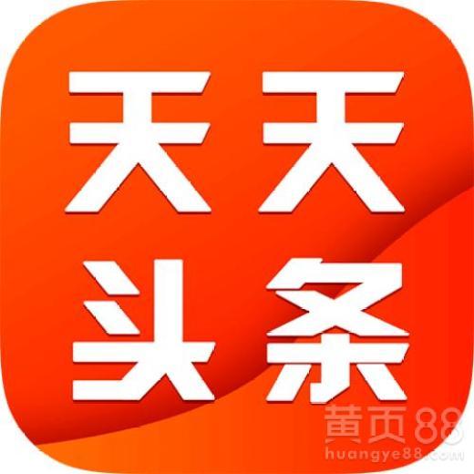 怎样联系头条生活家,开启互动新篇章