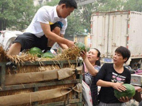 吃瓜满城县大圆,大圆现象背后的社会观察