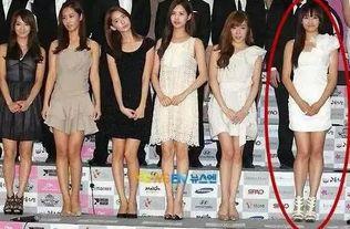 明星合成图10 p,视觉盛宴与科技魅力碰撞