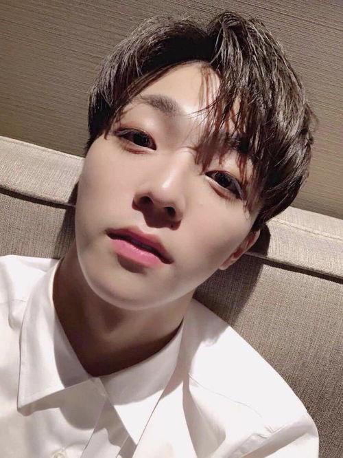 小鲜肉明星粉丝惹事,一场网络暴力引发的争议