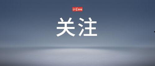 头条创作者大赛排名,揭秘排名背后的创作魅力与实力角逐”