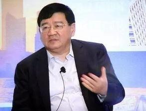 徐小平爆料新闻视频全集,揭秘事件真相与内幕