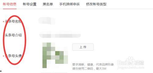 怎么查看头条账户信息,如何查看头条账户信息详解