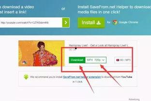 头条怎么看推荐视频收益,如何通过内容创作实现财富增长