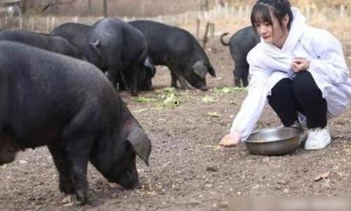 新乡网红养猪妹子,用青春书写乡村振兴新篇章”