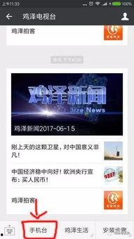 鸡泽县 新闻头条直播,聚焦最新动态，直播呈现精彩瞬间