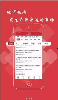 蕉城金涵头条新闻,聚焦金涵发展新篇章，共绘乡村振兴美好蓝图