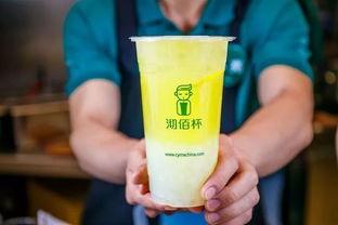 网红夏日奶茶加盟