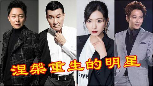 重生  明星,明星逆袭之路