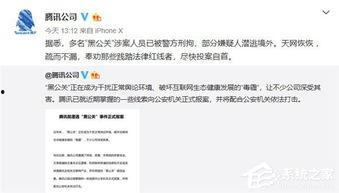 头条小黑黑,揭秘网络红人的崛起之路