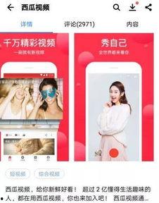 头条播游戏可以吗,带你领略电竞魅力，畅游虚拟世界