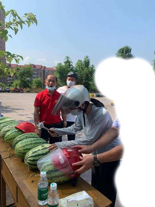 沧县吃瓜事件视频最新,一场引发热议的网络风波