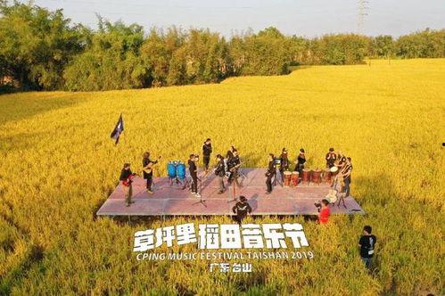 台山市网红草坪里,绿意盎然，打卡圣地