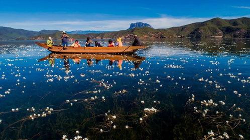 丽江网红池,探寻古城新宠的美丽传奇