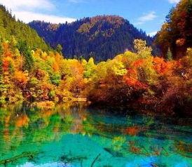 信阳红叶网红打卡地,探寻中原秋色打卡新地标