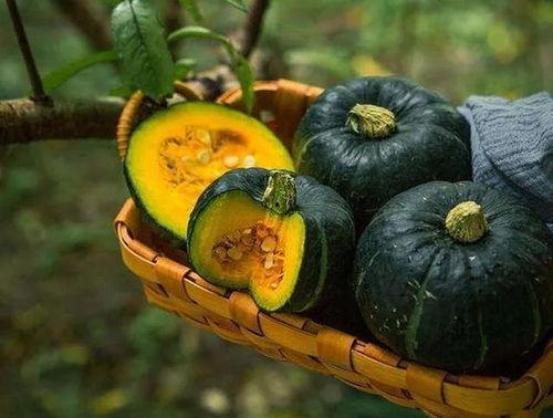 山地板栗瓜怎么吃