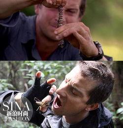 明星吃虫子节目,明星挑战极限，勇敢尝鲜大揭秘