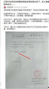 游子头条号,探寻异乡人的心灵归宿与奋斗故事